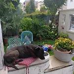 Chez Mavipagi *