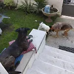 Chez Mavipagi *