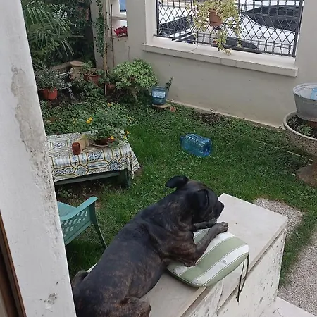 Chez Mavipagi アパート *