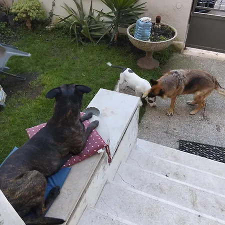 Chez Mavipagi *